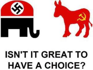 Voter choice
